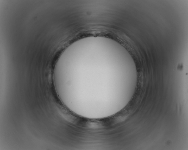 X0000093240510200709261533