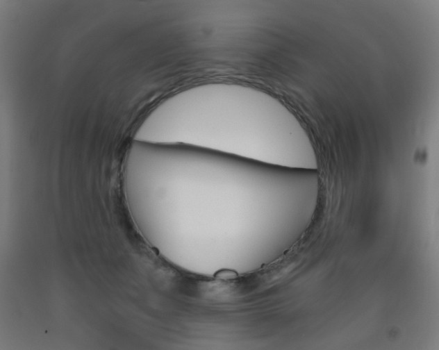 X0000093240511200709261532