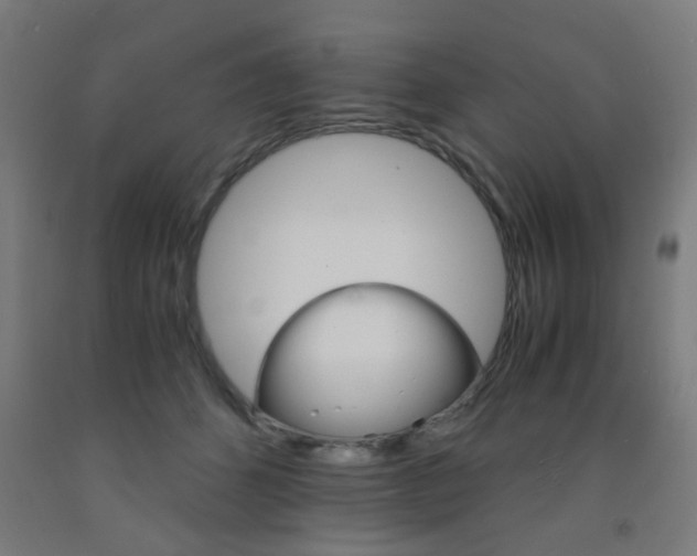 X0000093240512200709261532