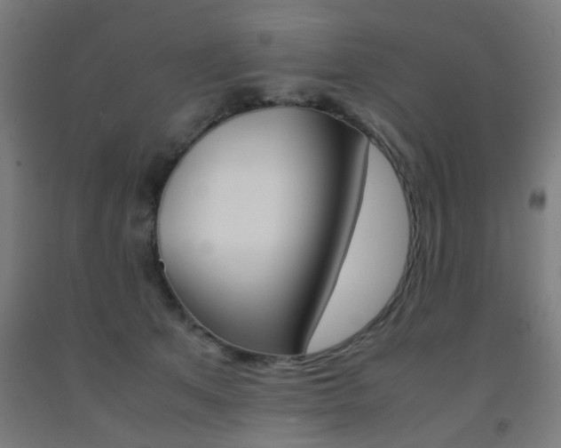 X0000093240513200709261532