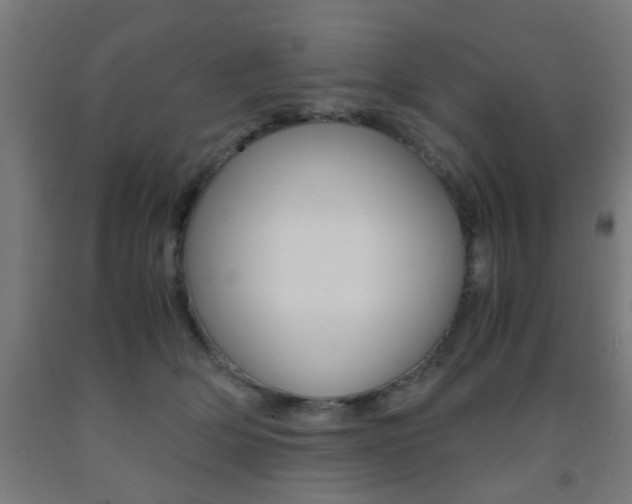 X0000093240514200709261532