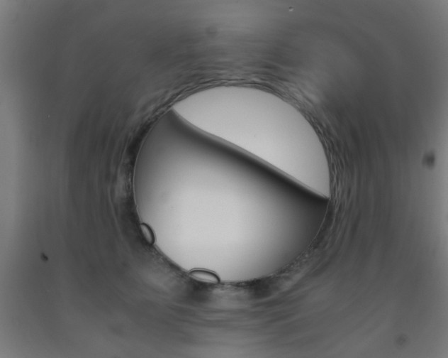 X0000093240515200709261532