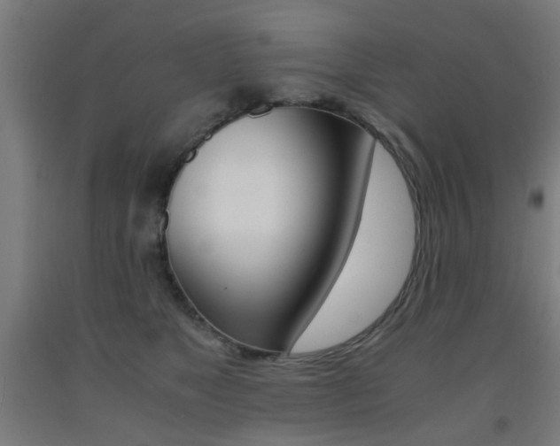 X0000093240517200709261532