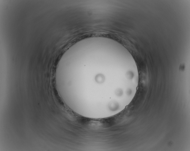 X0000093240519200709261532