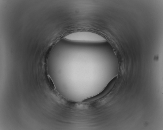 X0000093240520200709261532