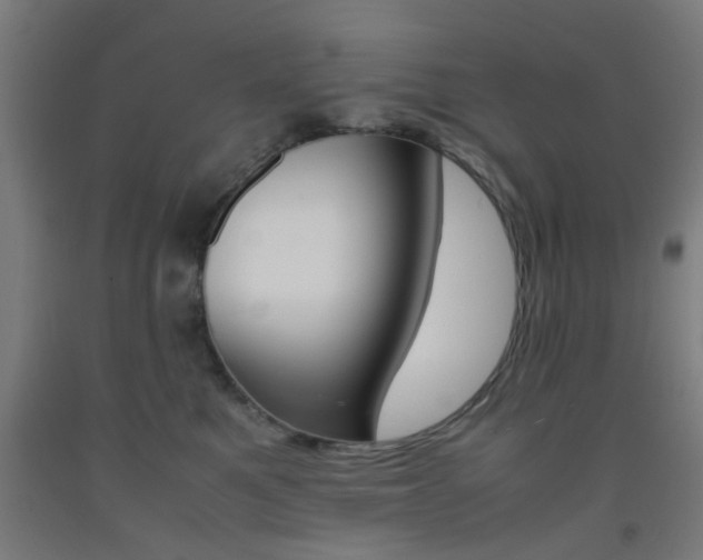 X0000093240521200709261532