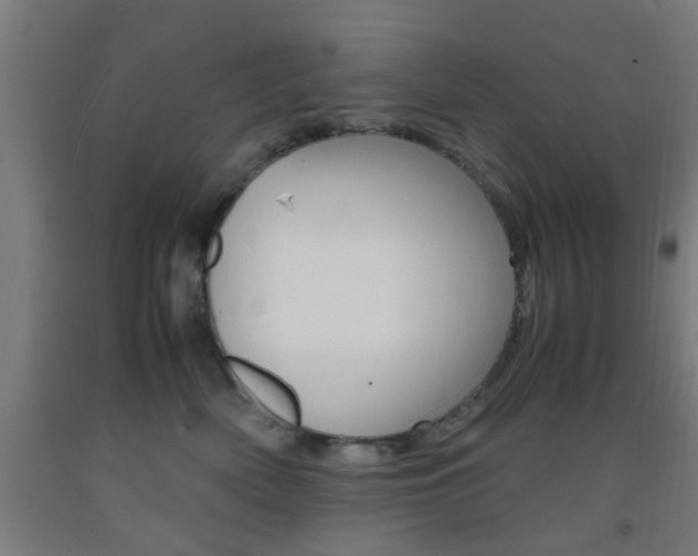 X0000093240522200709261532