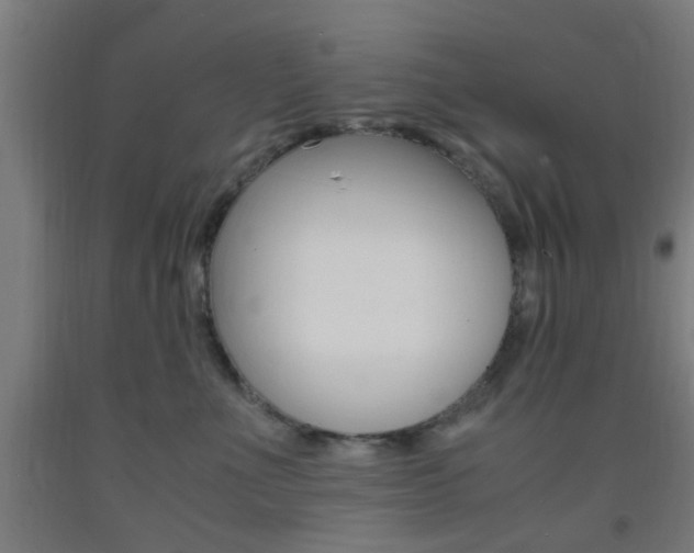 X0000093240523200709261532