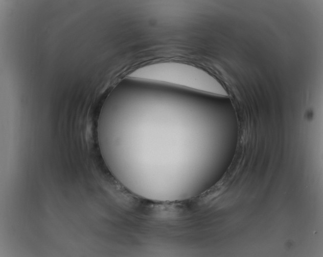 X0000093240524200709261532