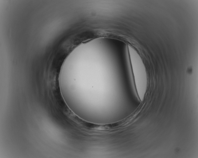 X0000093240525200709261532