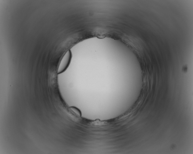 X0000093240526200709261532