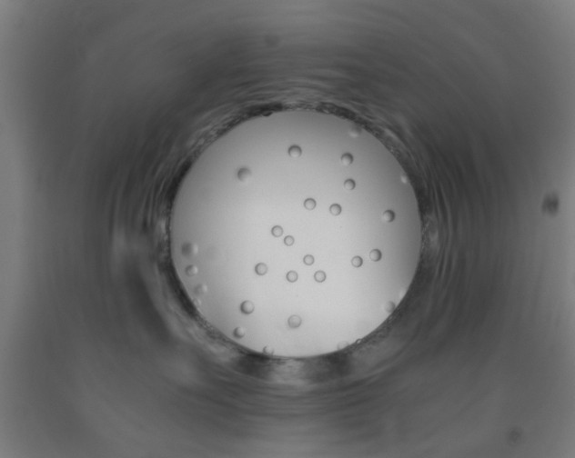 X0000093240527200709261532