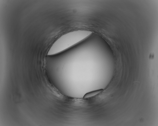 X0000093240528200709261532