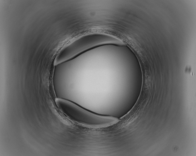 X0000093240530200709261532