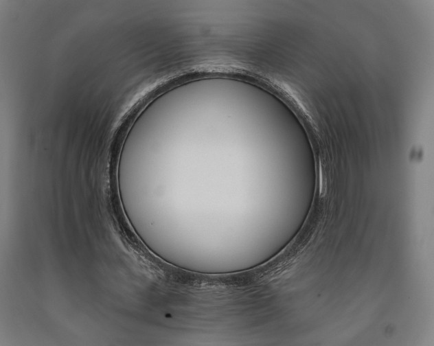 X0000093240531200709261532