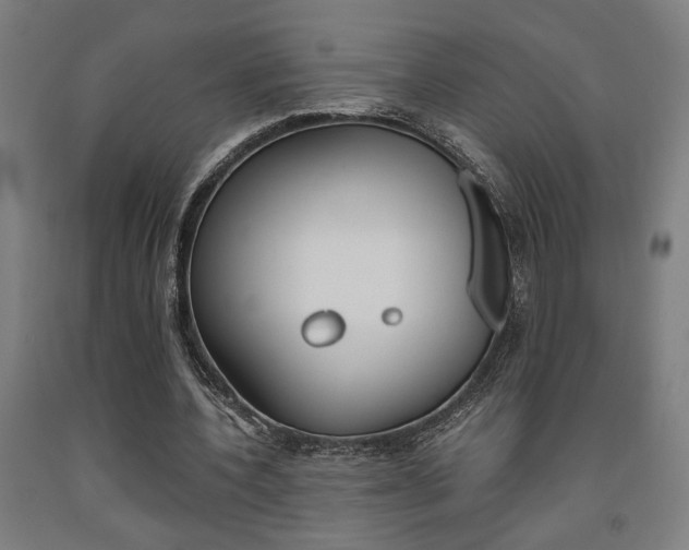 X0000093240532200709261532