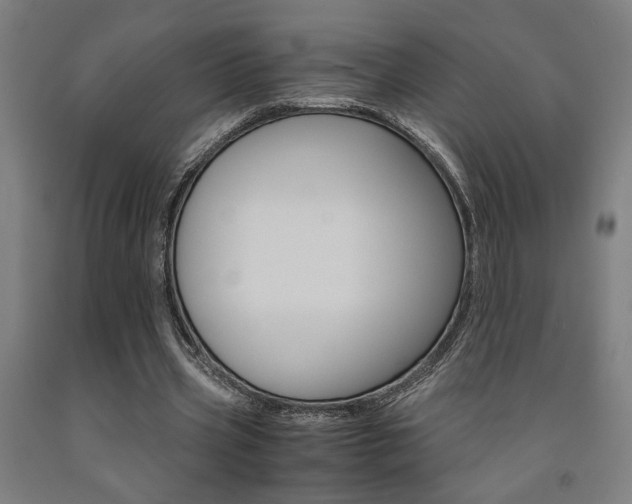 X0000093240533200709261532