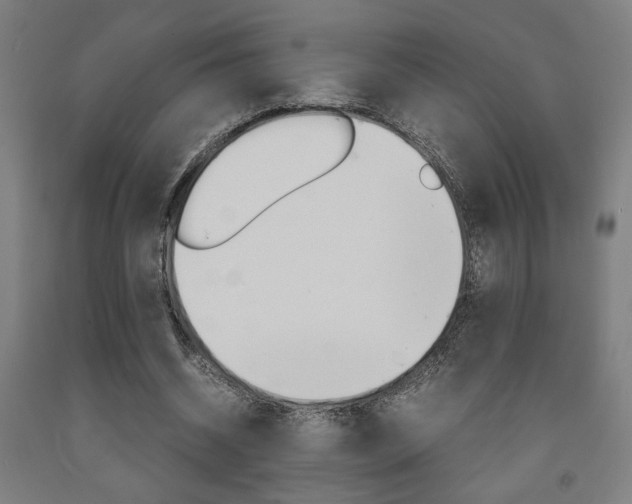 X0000093240534200709261532