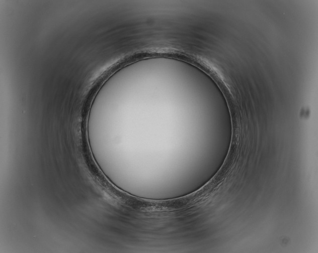 X0000093240535200709261532
