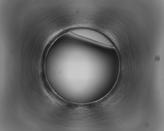 X0000093240536200709261532