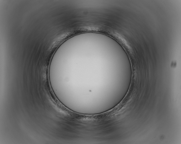 X0000093240537200709261532