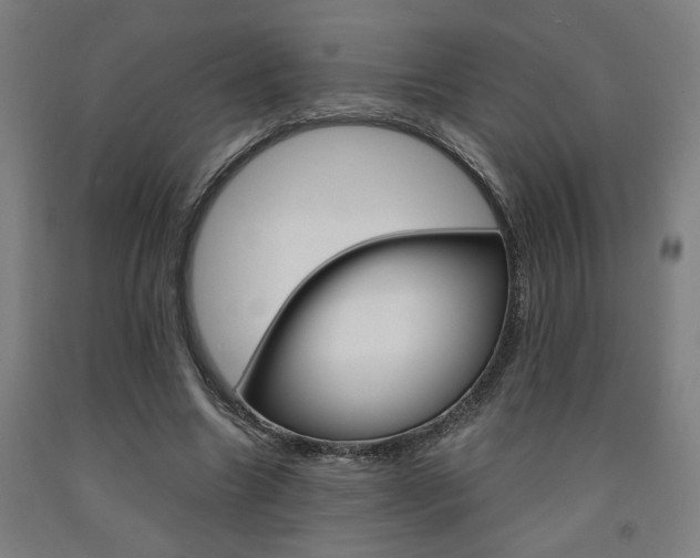 X0000093240538200709261532