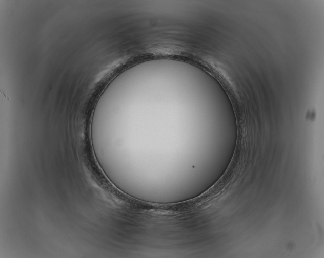 X0000093240539200709261532
