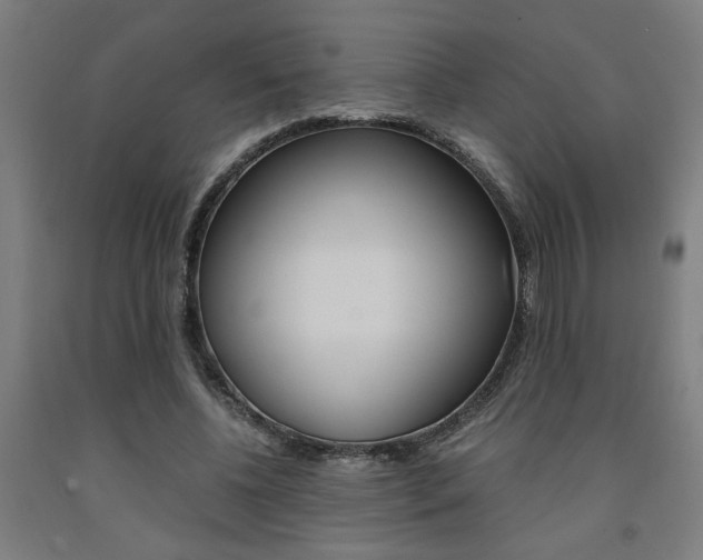X0000093240540200709261532