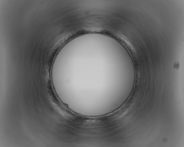 X0000093240541200709261532