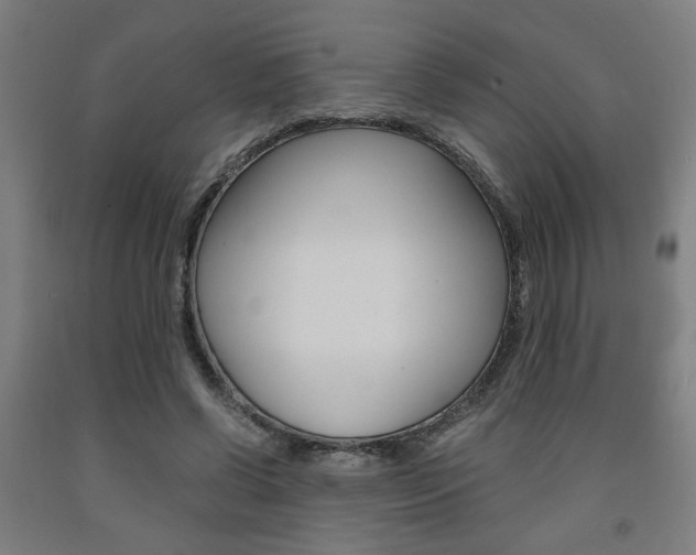 X0000093240542200709261532