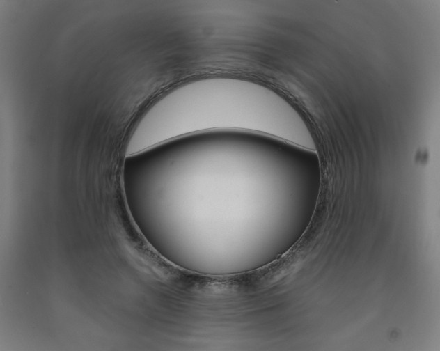 X0000093240546200709261532