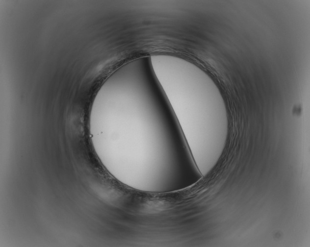 X0000093240547200709261532