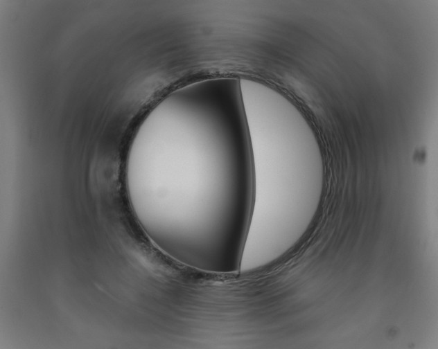 X0000093240548200709261532