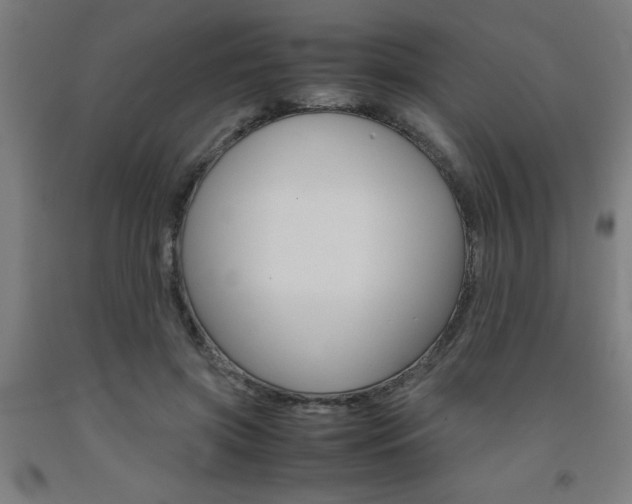 X0000093240549200709261532