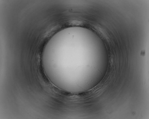 X0000093240551200709261532