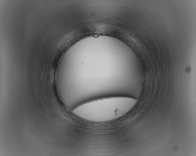 X0000093240554200709261532