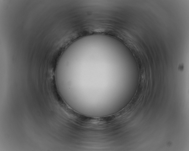 X0000093240555200709261532