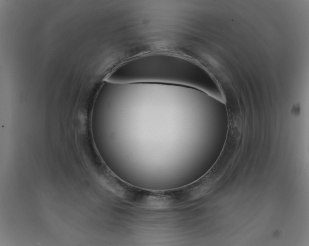 X0000093240556200709261532
