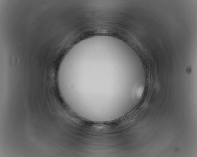 X0000093240557200709261532