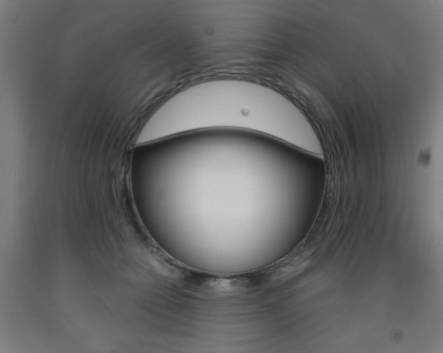 X0000093240558200709261532