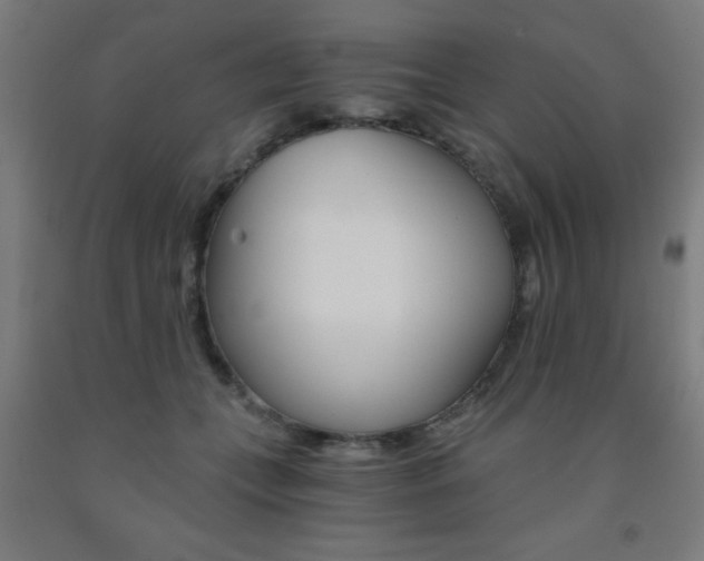 X0000093240559200709261532