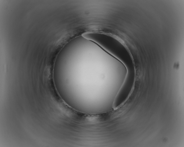 X0000093240560200709261532