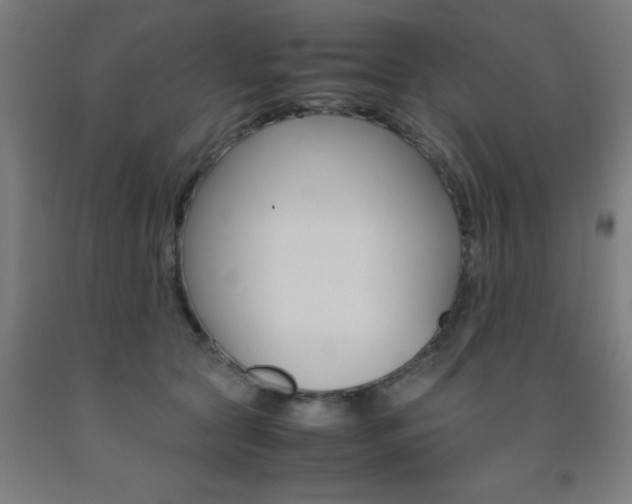 X0000093240561200709261532