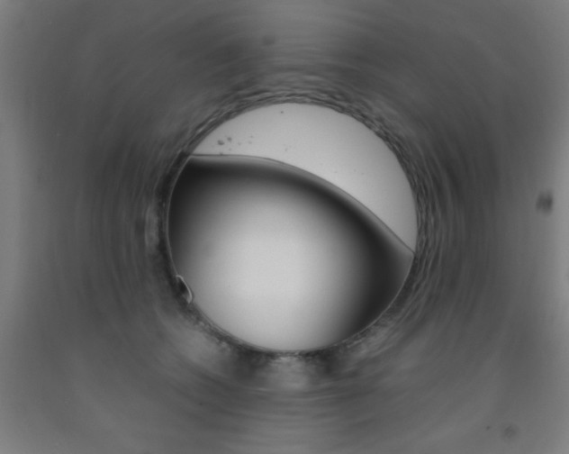 X0000093240562200709261532