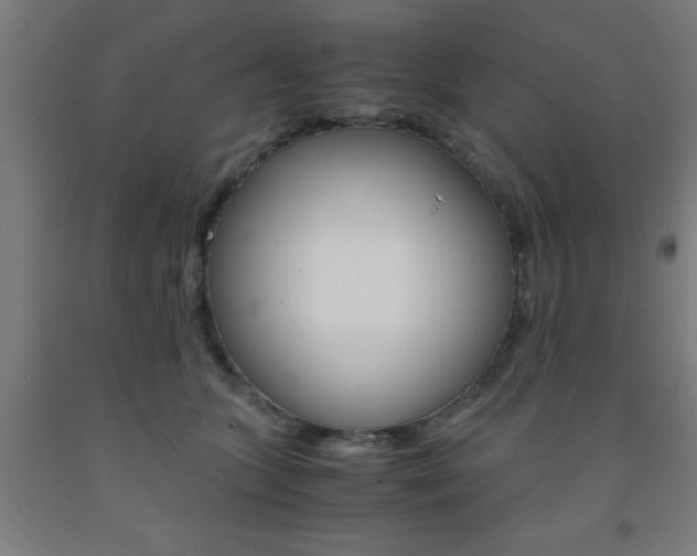 X0000093240563200709261532