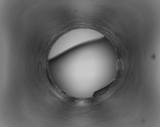 X0000093240564200709261532