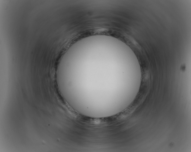 X0000093240565200709261532