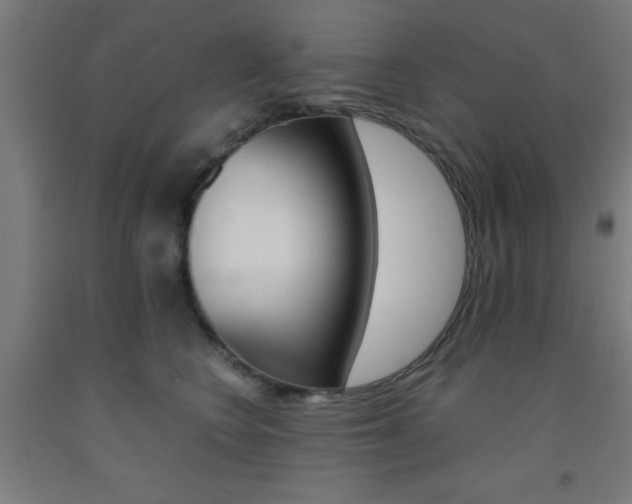 X0000093240566200709261532