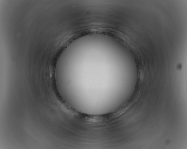 X0000093240567200709261532