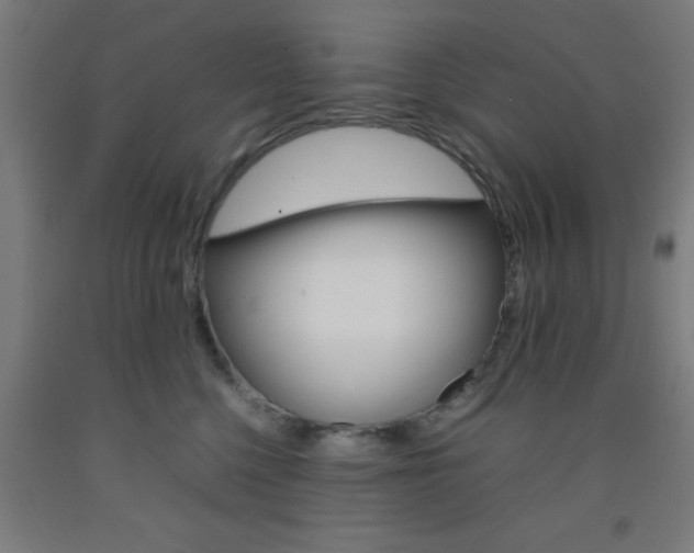 X0000093240568200709261532